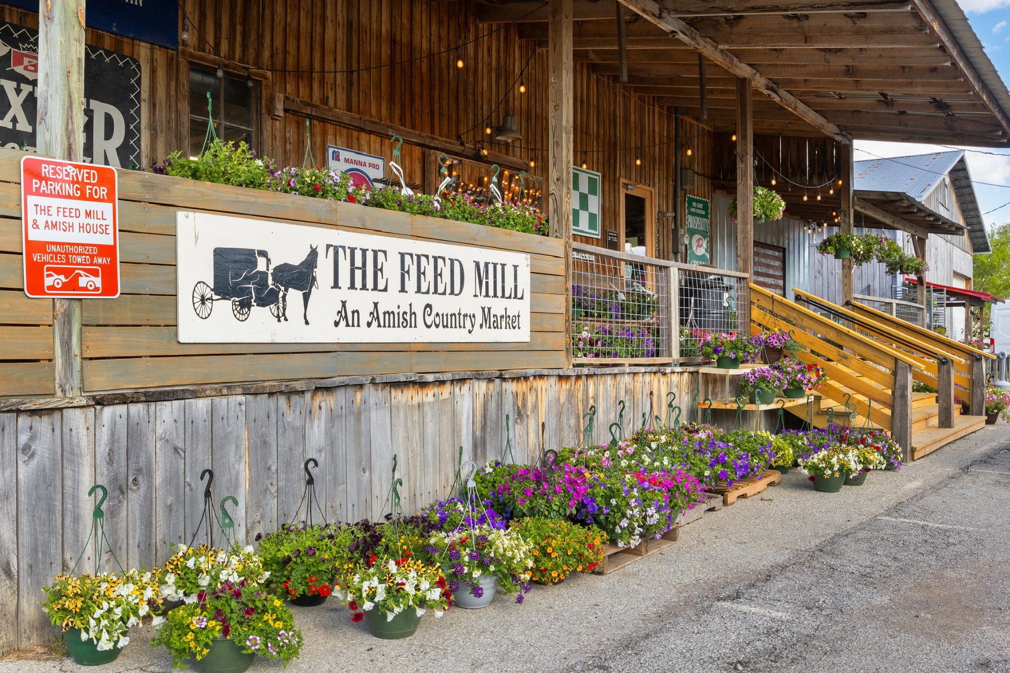 791 French River Road Nolensville, TN 37135 - Photo 45 of 48 a bunch of flowers and fruits