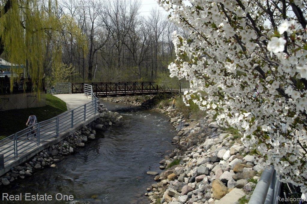 210 North Alice Avenue Rochester, MI 48307 - Photo 19 of 21 CITY PARK --Summer