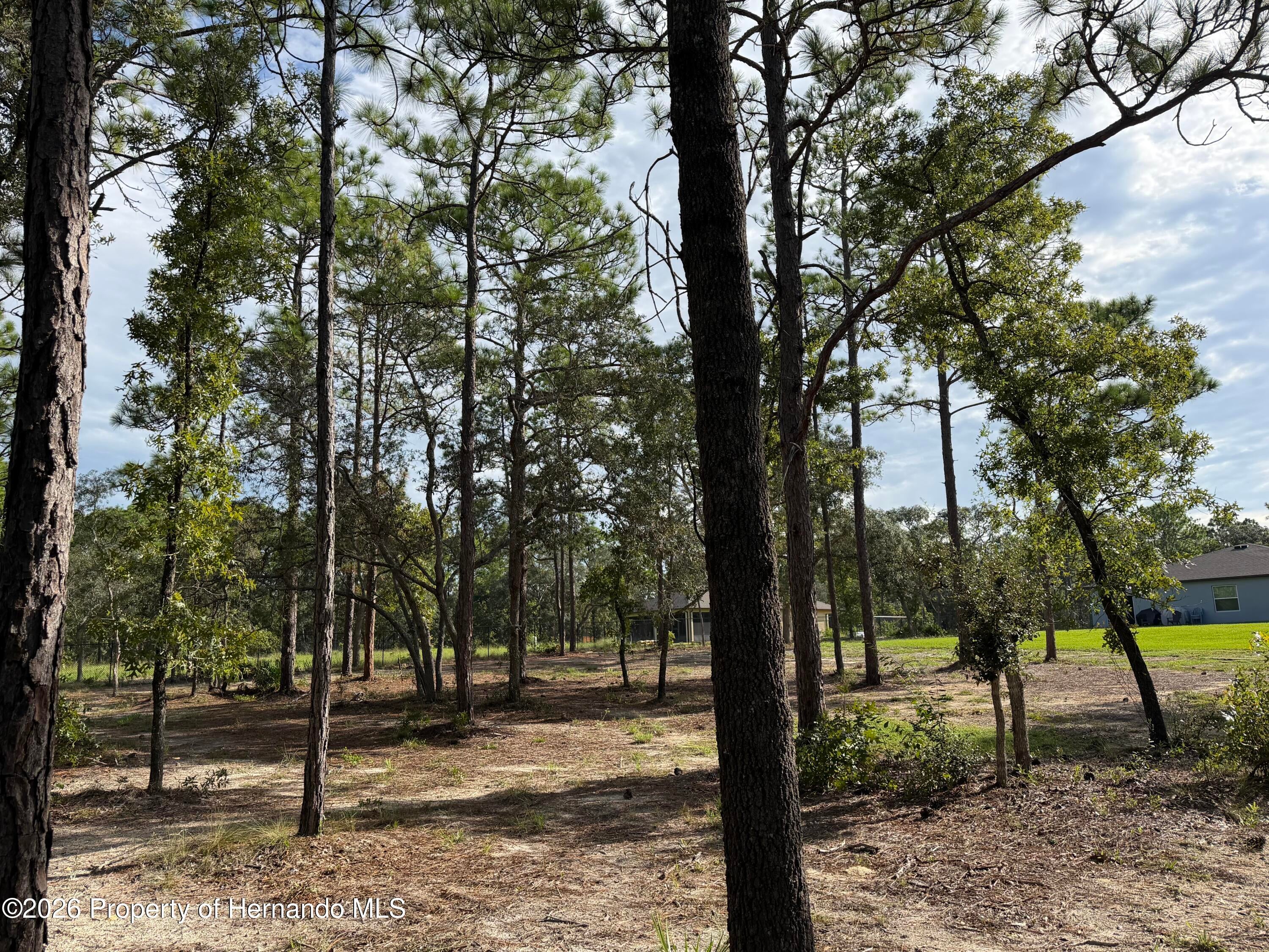 16125 Magpie Road Weeki Wachee, FL 34614 - Photo 26 of 28 Gallery Image 26