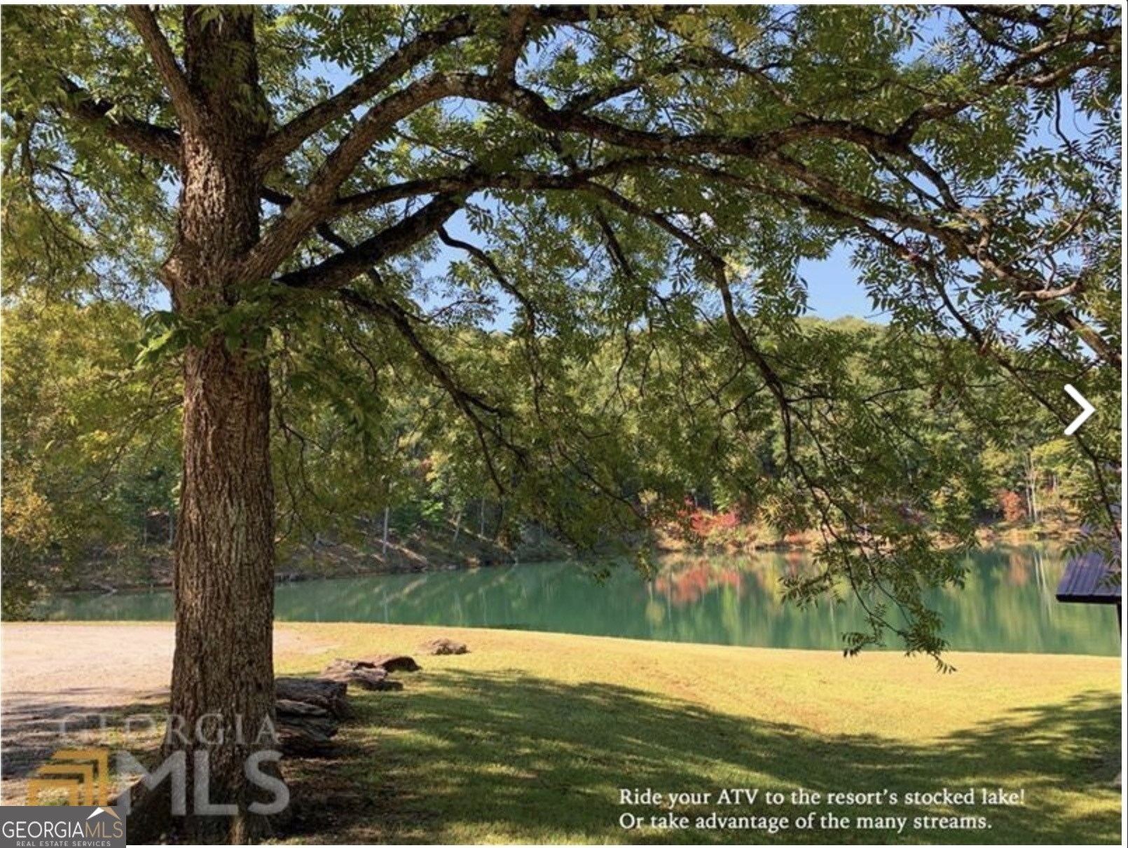 945 Longbranch Drive Ranger, GA 30734 - Photo 4 of 11 a view of a yard with large trees