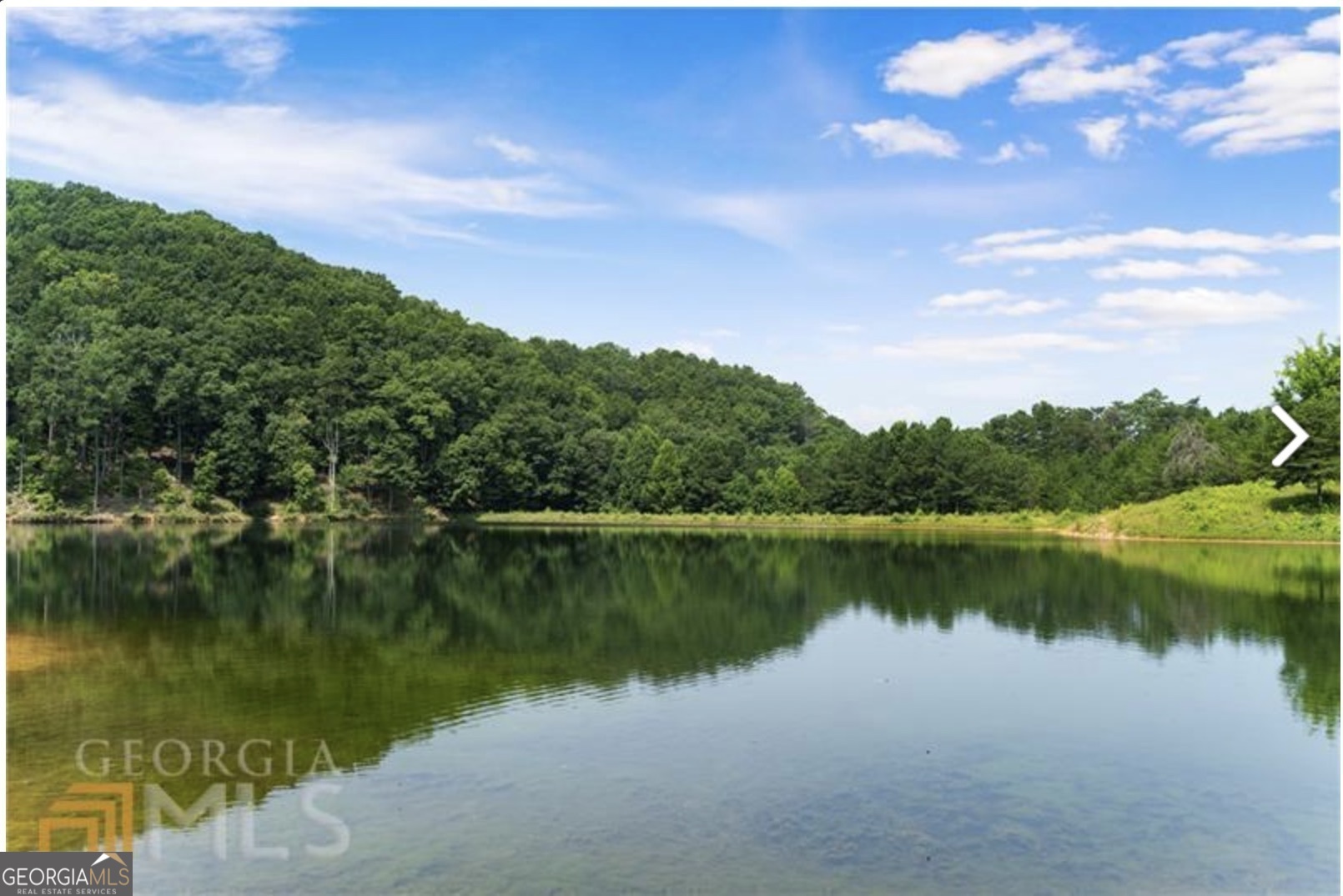 945 Longbranch Drive Ranger, GA 30734 - Photo 8 of 11 a view of a lake with a yard