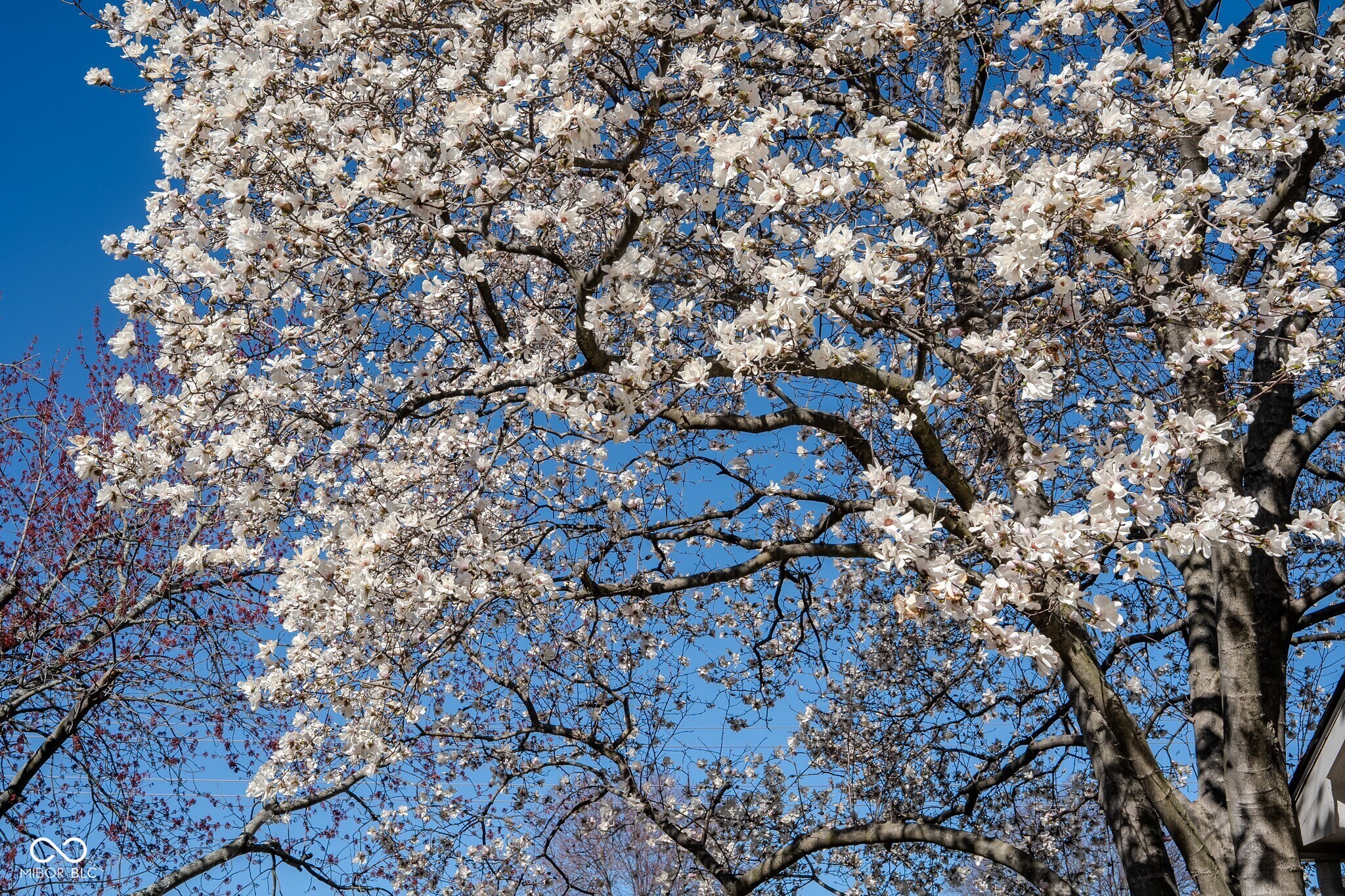 3705 River Road Columbus, IN 47203 - Photo 3 of 50