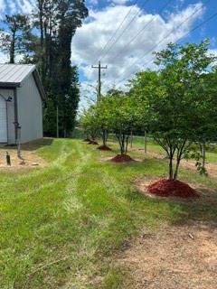 9833 Highway 175 Grand Cane, LA 71032 - Photo 10 of 19