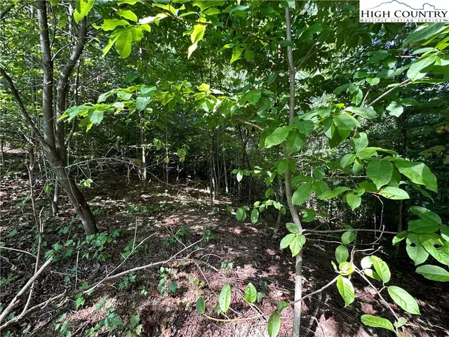 $69,500 | Lot 17 Cielo Ridge Way, Purlear, NC 28665
