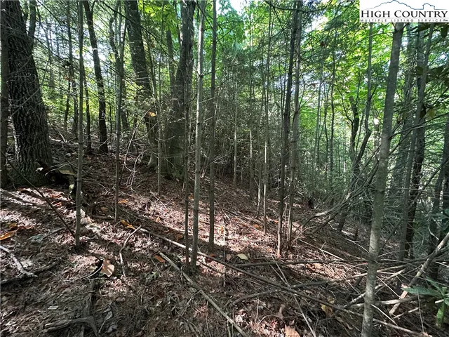 $69,500 | Lot 17 Cielo Ridge Way, Purlear, NC 28665