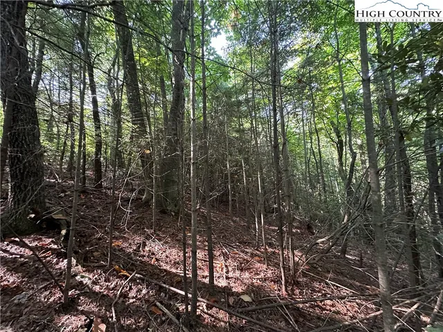 $69,500 | Lot 17 Cielo Ridge Way, Purlear, NC 28665