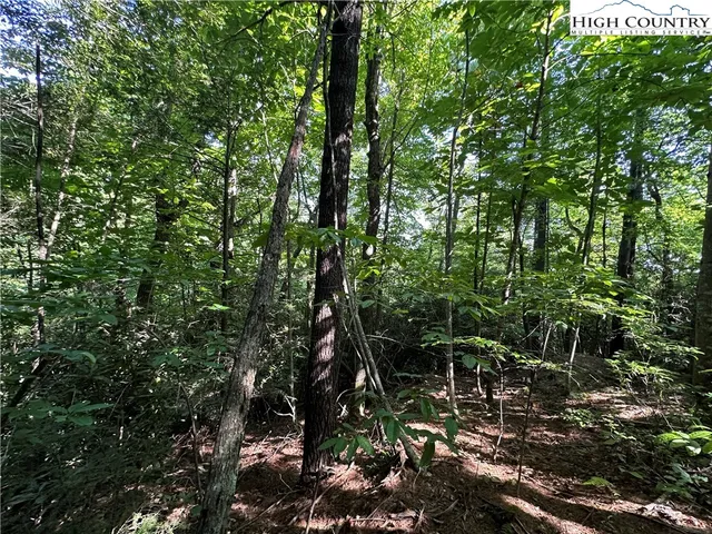 $69,500 | Lot 17 Cielo Ridge Way, Purlear, NC 28665