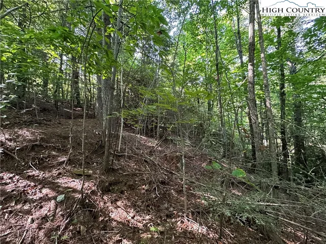 $69,500 | Lot 17 Cielo Ridge Way, Purlear, NC 28665