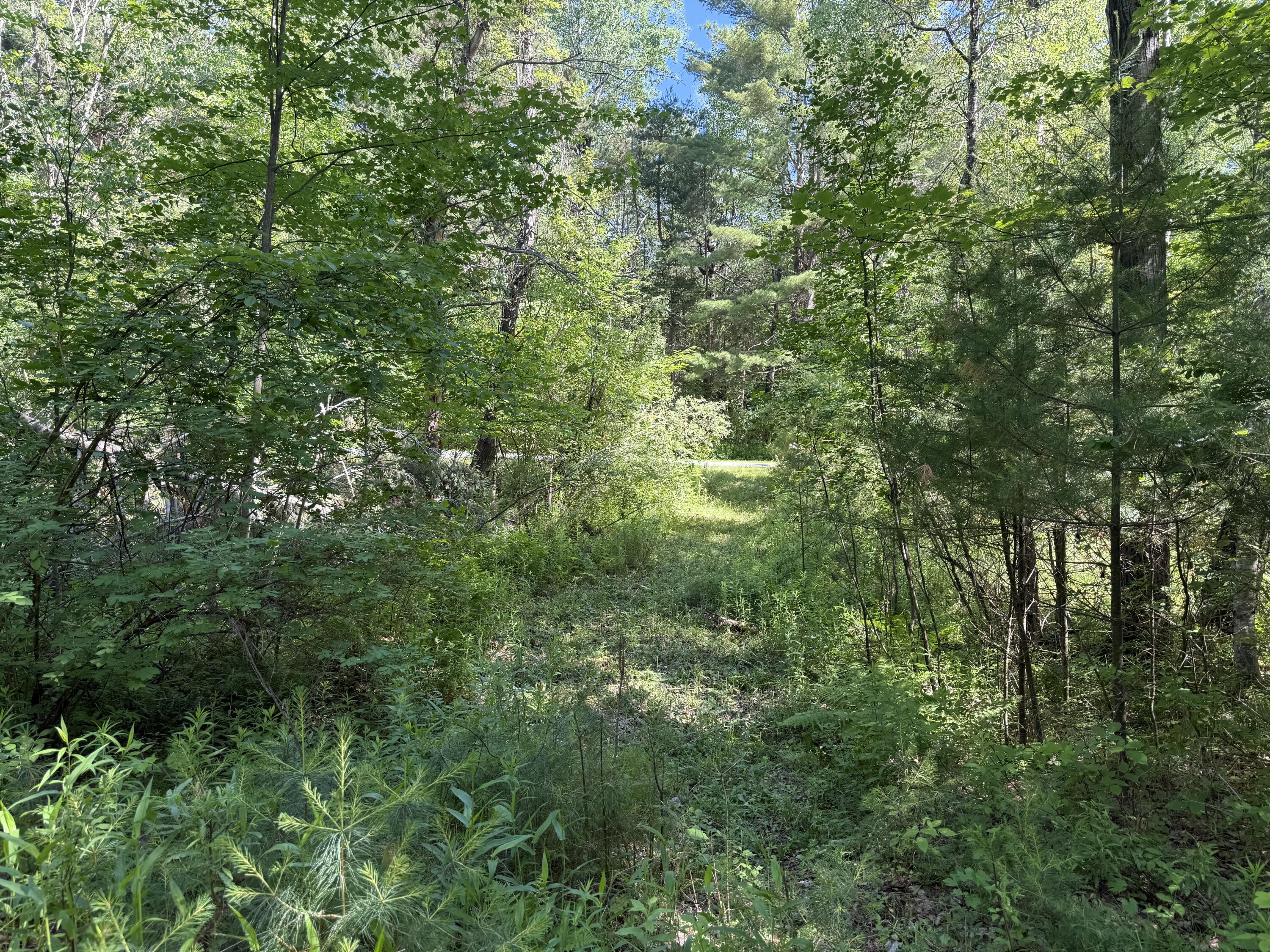 0 Quaker Highlands Road Peru, NY 12972 - Photo 4 of 9