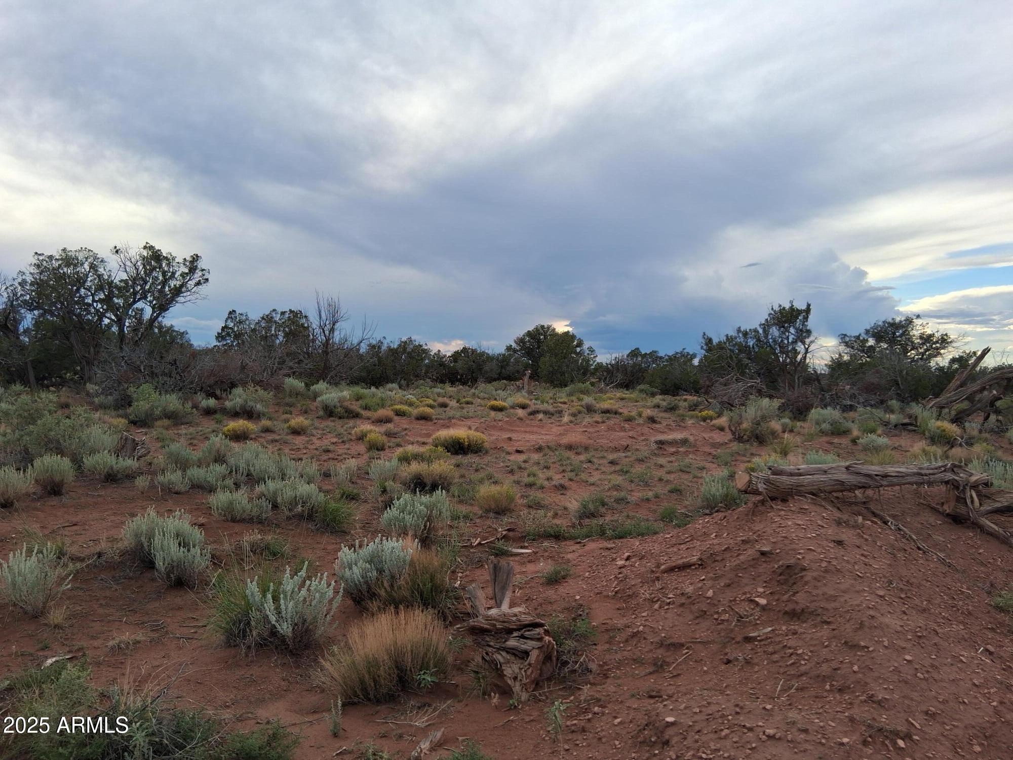 201 County Road Concho, AZ 85924 - Photo 11 of 24