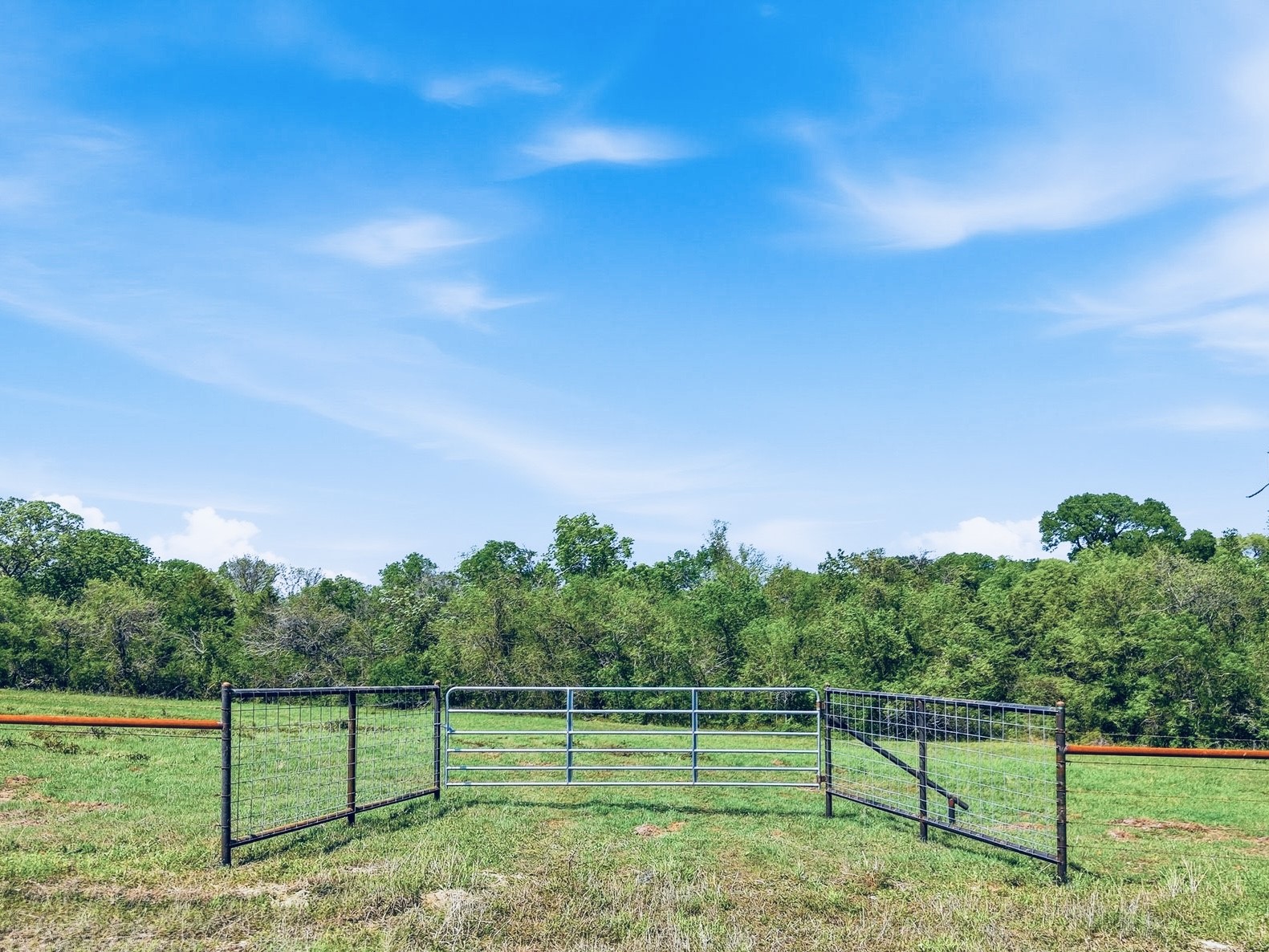 405 County Road 405 Anderson, TX 77830 - Photo 2 of 7 a view of a field with a tree in the background
