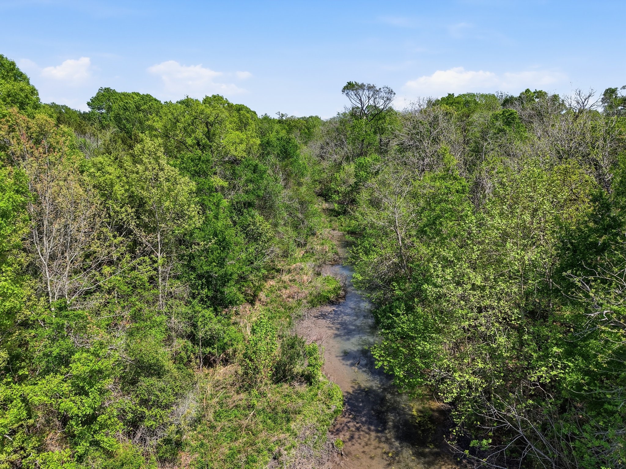 405 County Road 405 Anderson, TX 77830 - Photo 6 of 7 a view of a forest with a street
