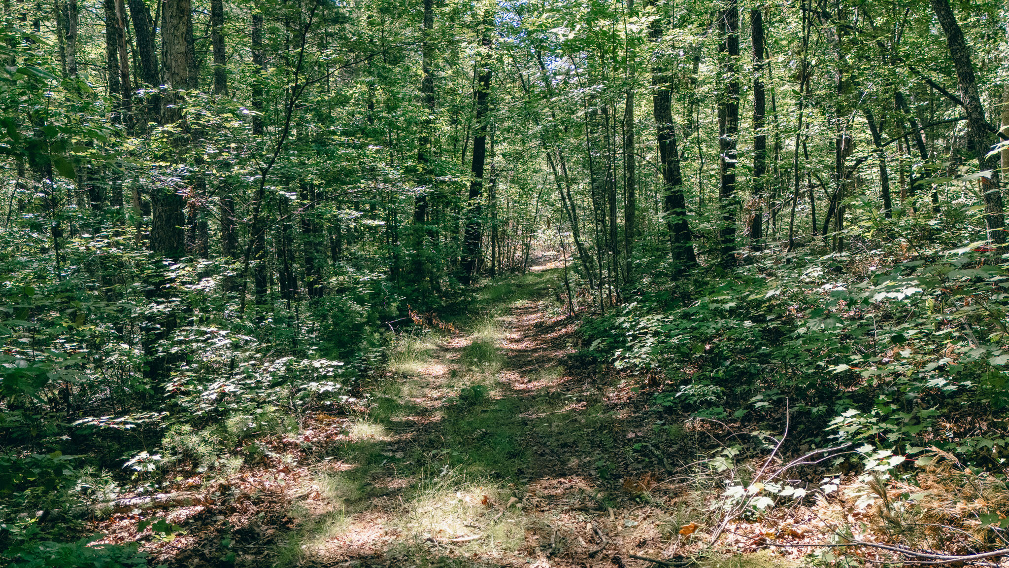 0 Ball Park Road Eagle Rock, VA 24085 - Photo 5 of 11 Hundley pic 5