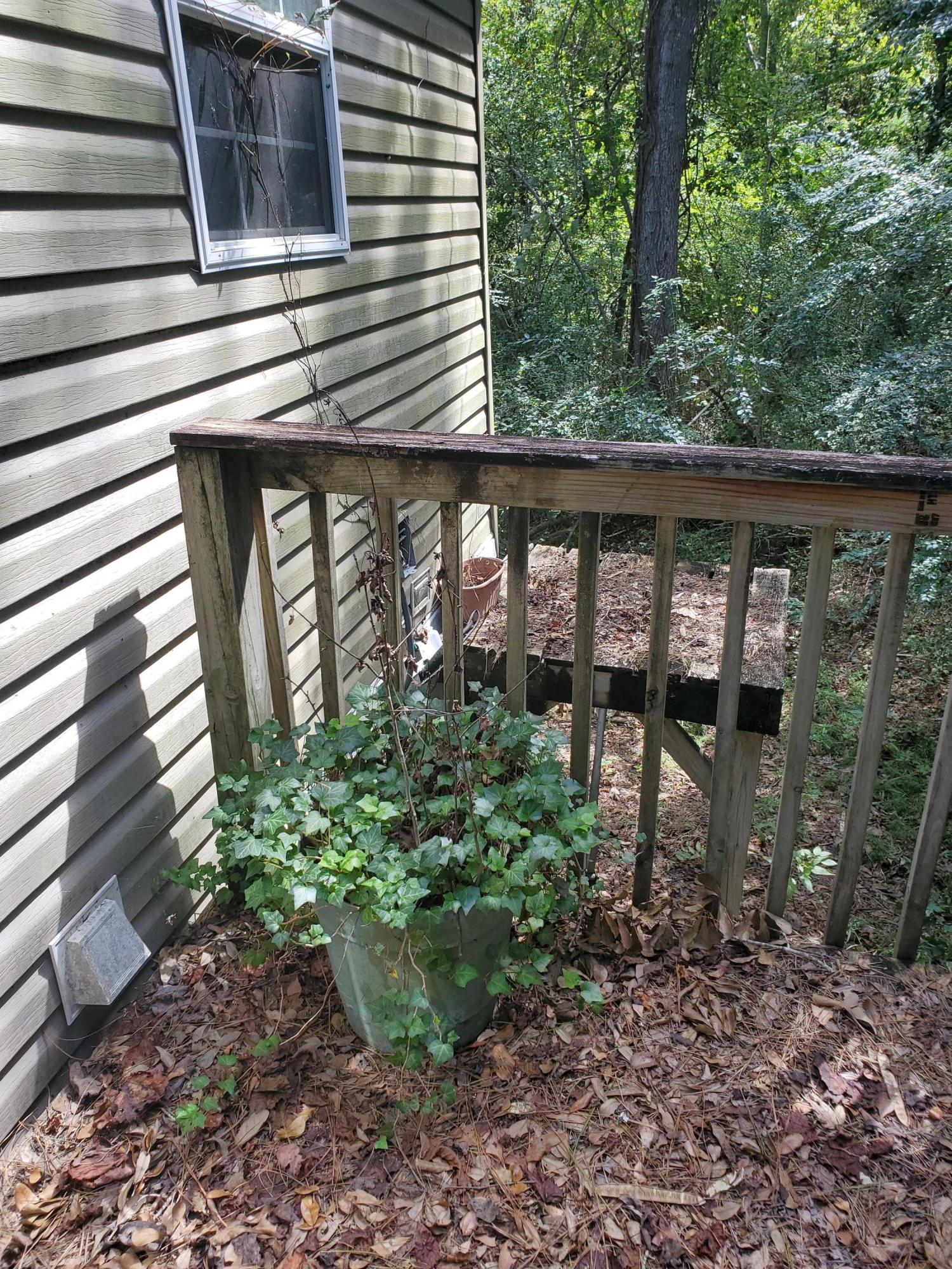 517 Society Road McClellanville, SC 29458 - Photo 13 of 23 Back porch