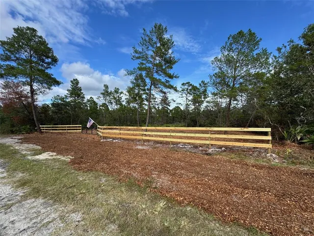 a view of backyard with large trees