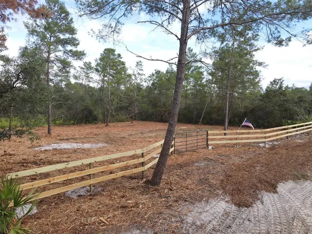a view of a backyard with large trees