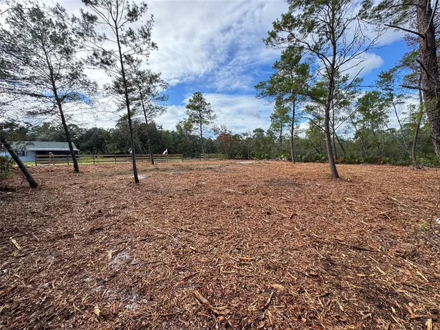 a backyard of apartments with trees