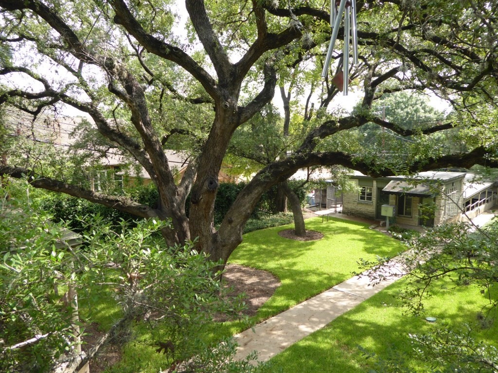 3416 Enfield Road, Unit B Austin, TX 78703 - Photo 29 of 31 Treehouse feel