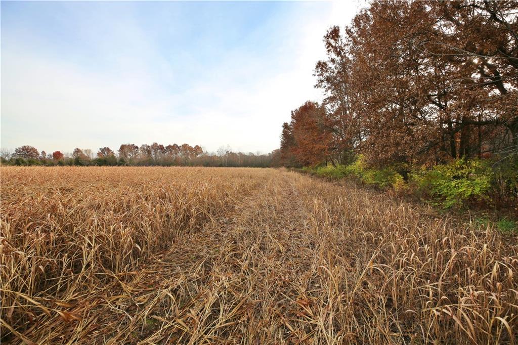 0 South Rouse Street Pittsburg, KS 66762 - Photo 24 of 47