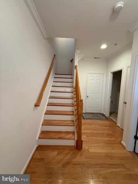 11777 Skylark Road Clarksburg, MD 20871 - Photo 60 of 75 a view of entryway
