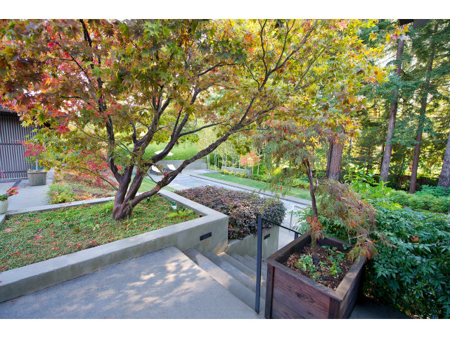 1850 Brookvale Road Hillsborough, CA 94010 - Photo 23 of 24 a view of yard from deck