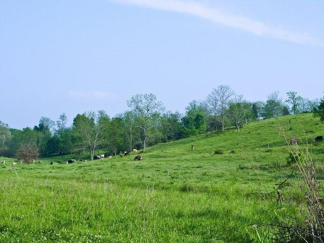 501 Gunnell Road Georgetown, KY 40324 - Photo 13 of 14 Photo 13