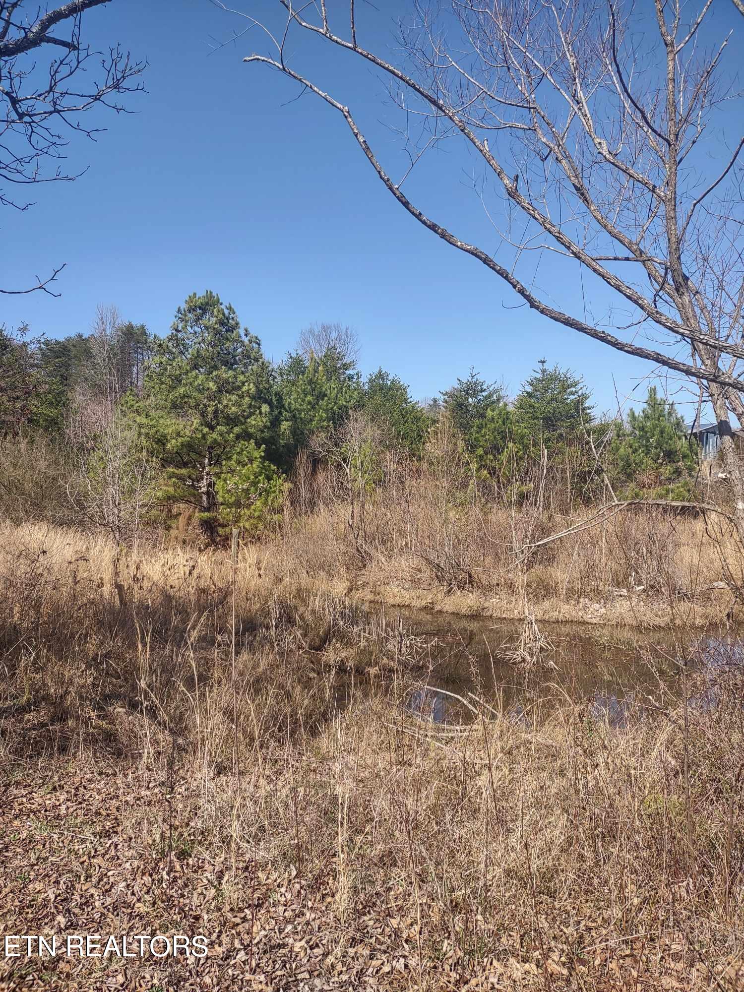 Steele Road Vonore, TN 37885 - Photo 8 of 11 433725757_775921757807772_25641649710184