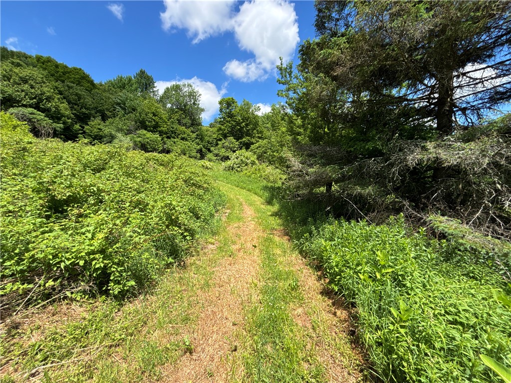 2613 Murphy Hill Road Andes, NY 13731 - Photo 26 of 35