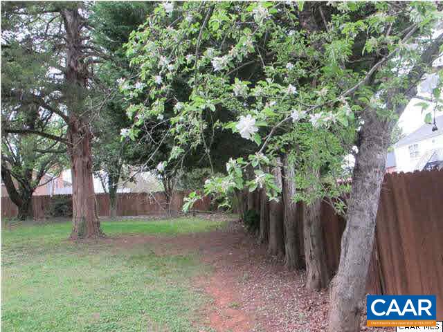 2103 Morris Road Charlottesville, VA 22903 - Photo 3 of 32 a view of backyard with tree
