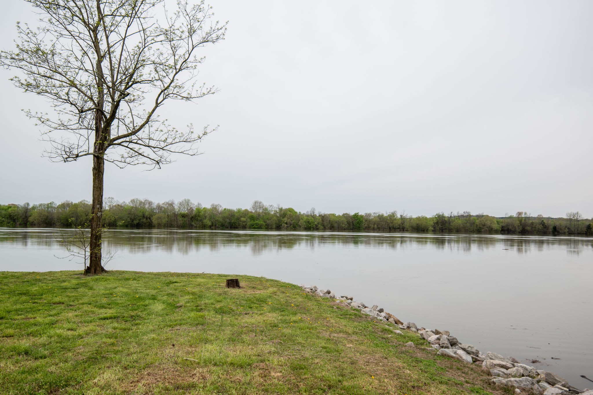 484 Eagles Bend Road Linden, TN 37096 - Photo 30 of 32 Gallery Image 30