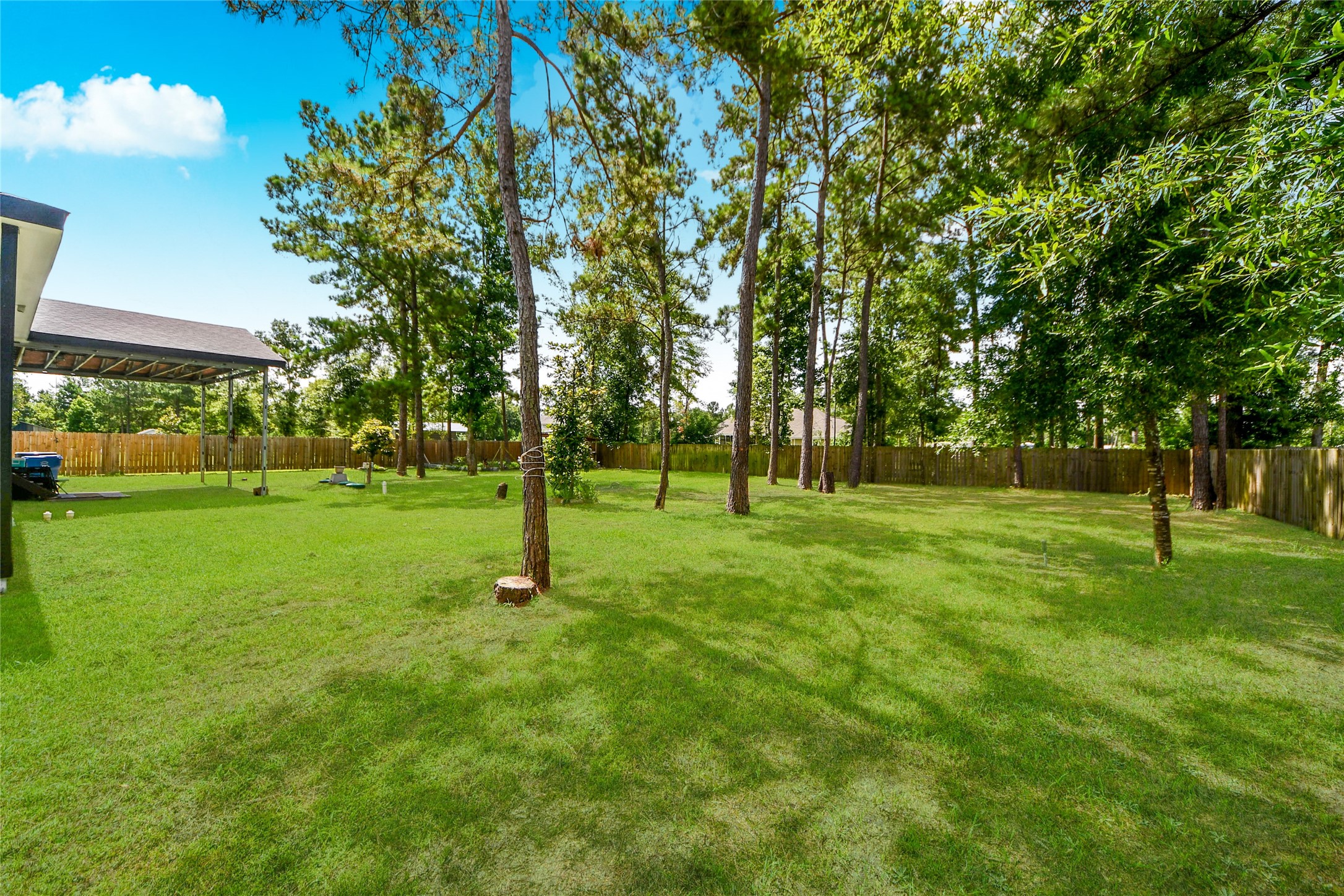 12128 County Road Cleveland, TX 77327 - Photo 21 of 27 a park with lots of trees