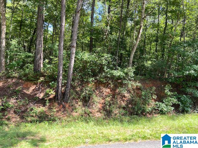 0 County Road 89, Unit 1 Clanton, AL 35046 - Photo 17 of 17