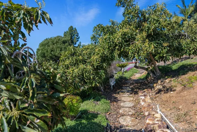 a living room with furniture fireplace and a large window