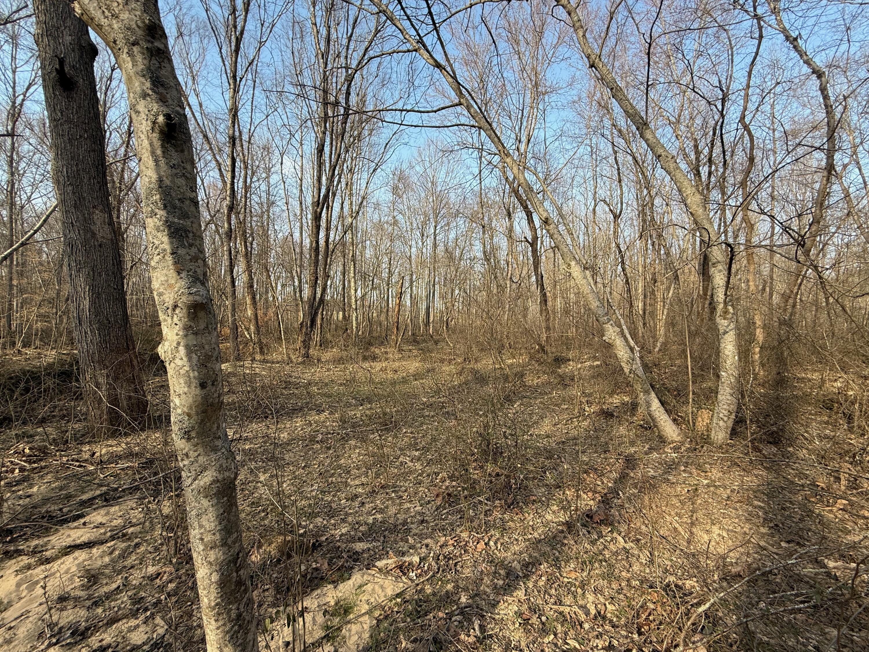 0 Westerfield Road London, KY 40744 - Photo 20 of 23 IMG_0033