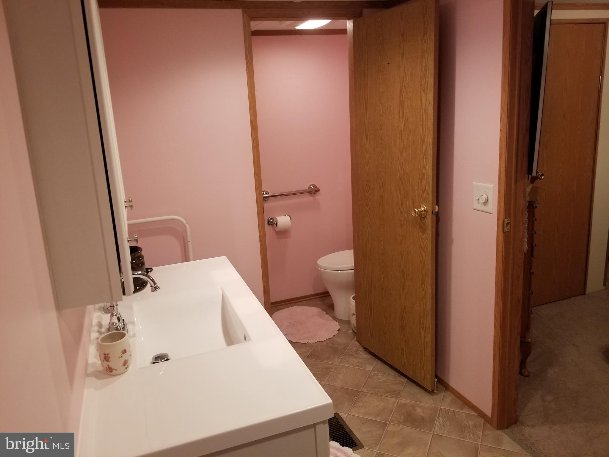 3497 Irish Hill Road Magnolia, DE 19962 - Photo 13 of 34 Master bath w/separate toilet & linen closet
