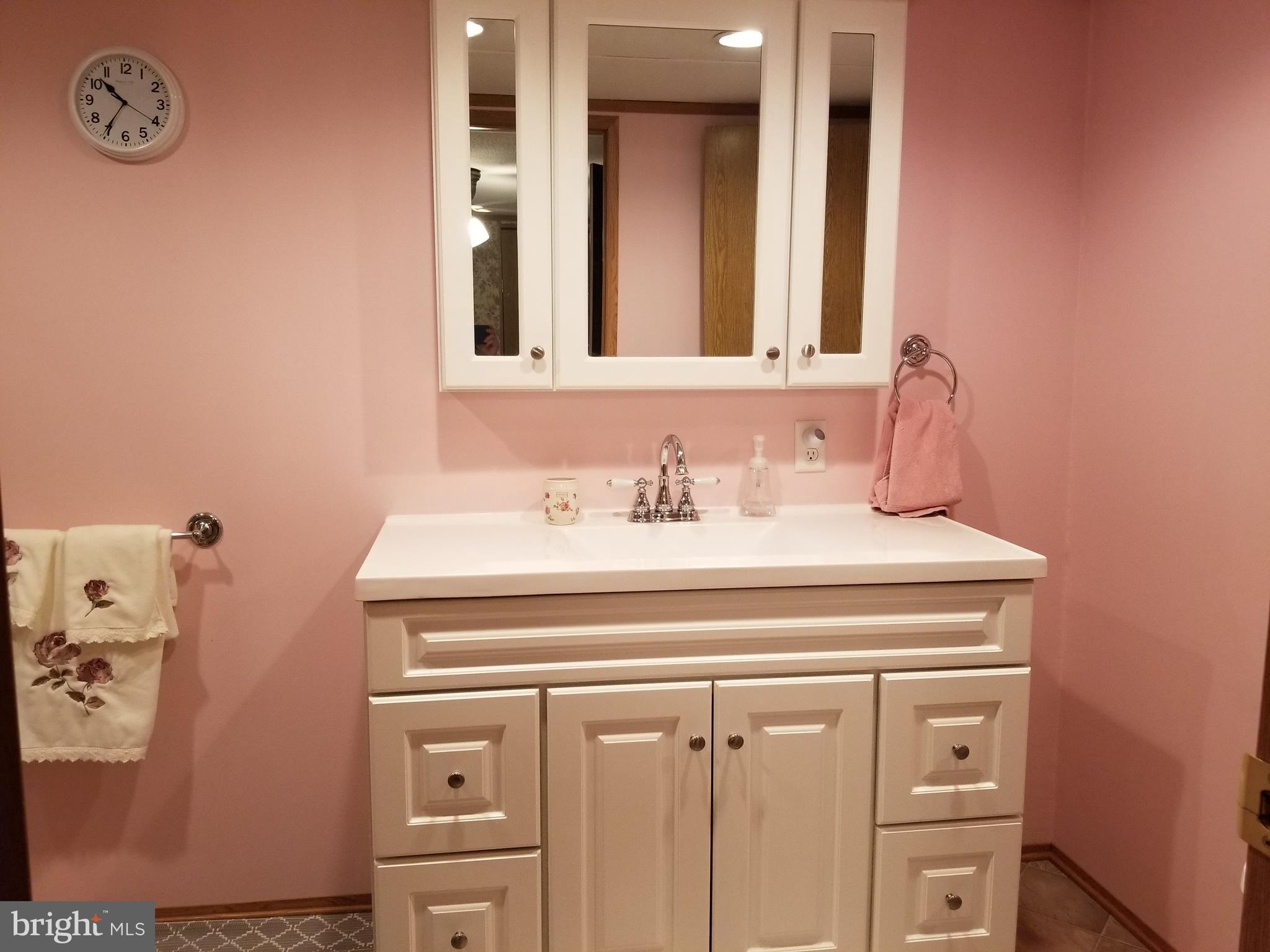 3497 Irish Hill Road Magnolia, DE 19962 - Photo 15 of 34 LARGE sink & vanity