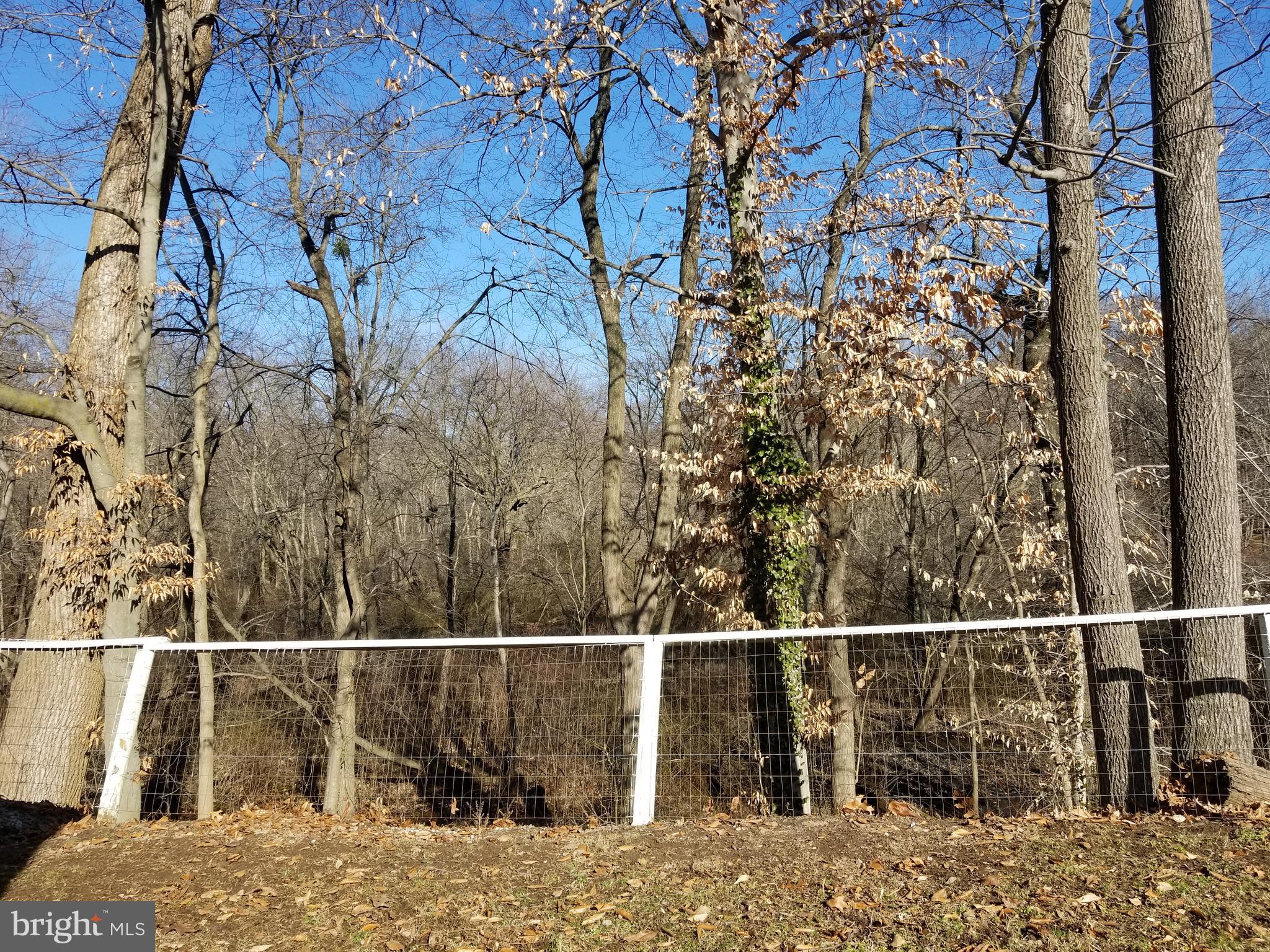 3497 Irish Hill Road Magnolia, DE 19962 - Photo 28 of 34 Backyard view, great spot for bird watching