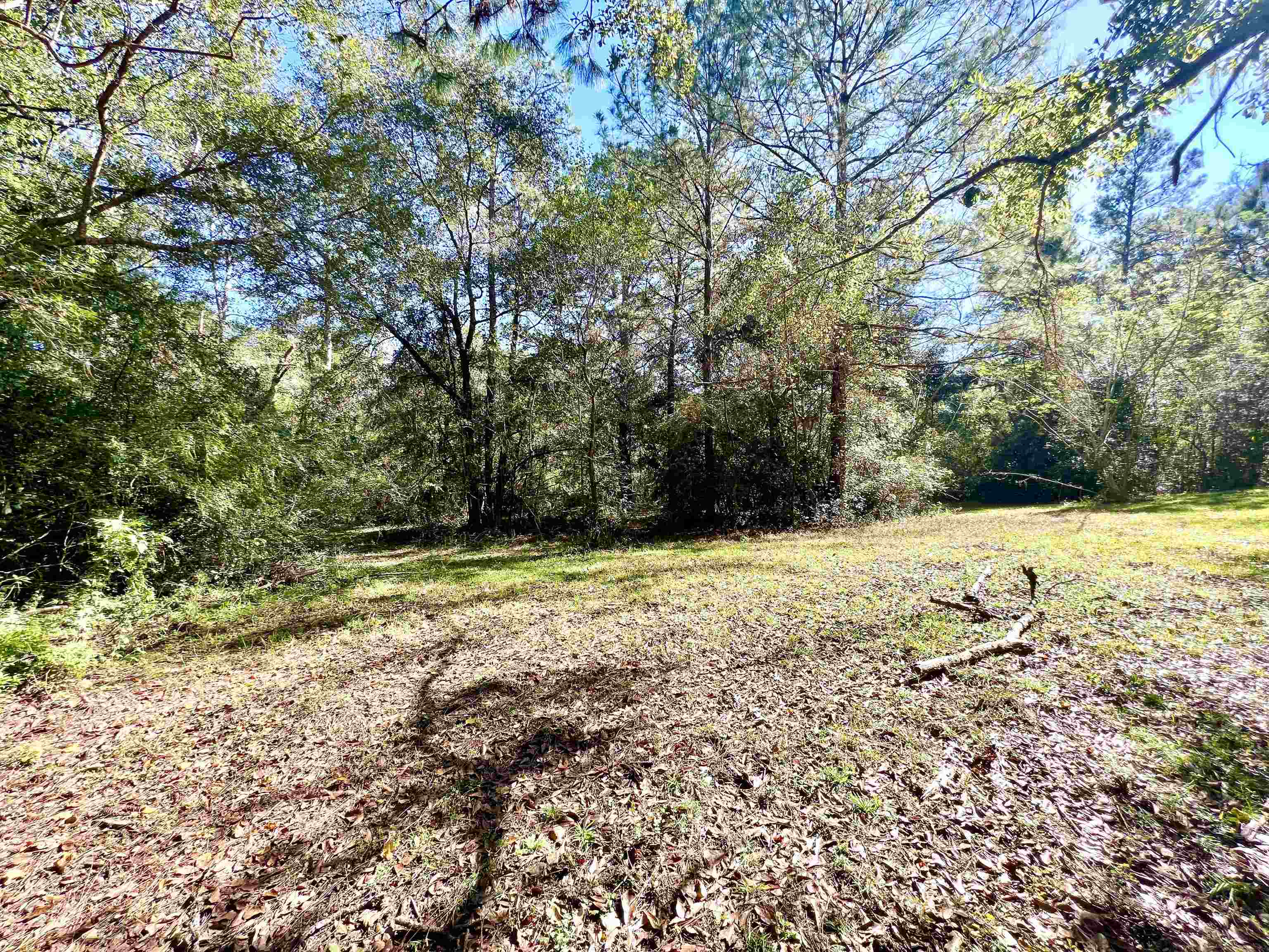 24650 Powell Road Loxley, AL 36551 - Photo 42 of 49