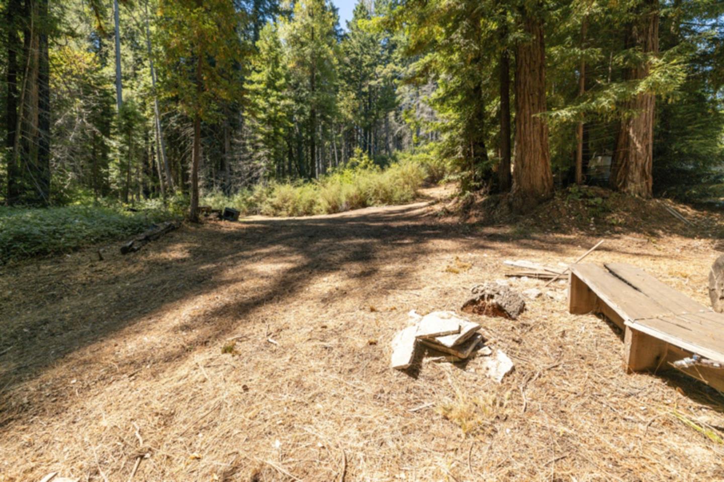 2472 Fanning Grde Ben Lomond, CA 95005 - Photo 12 of 13 a view of a yard with trees