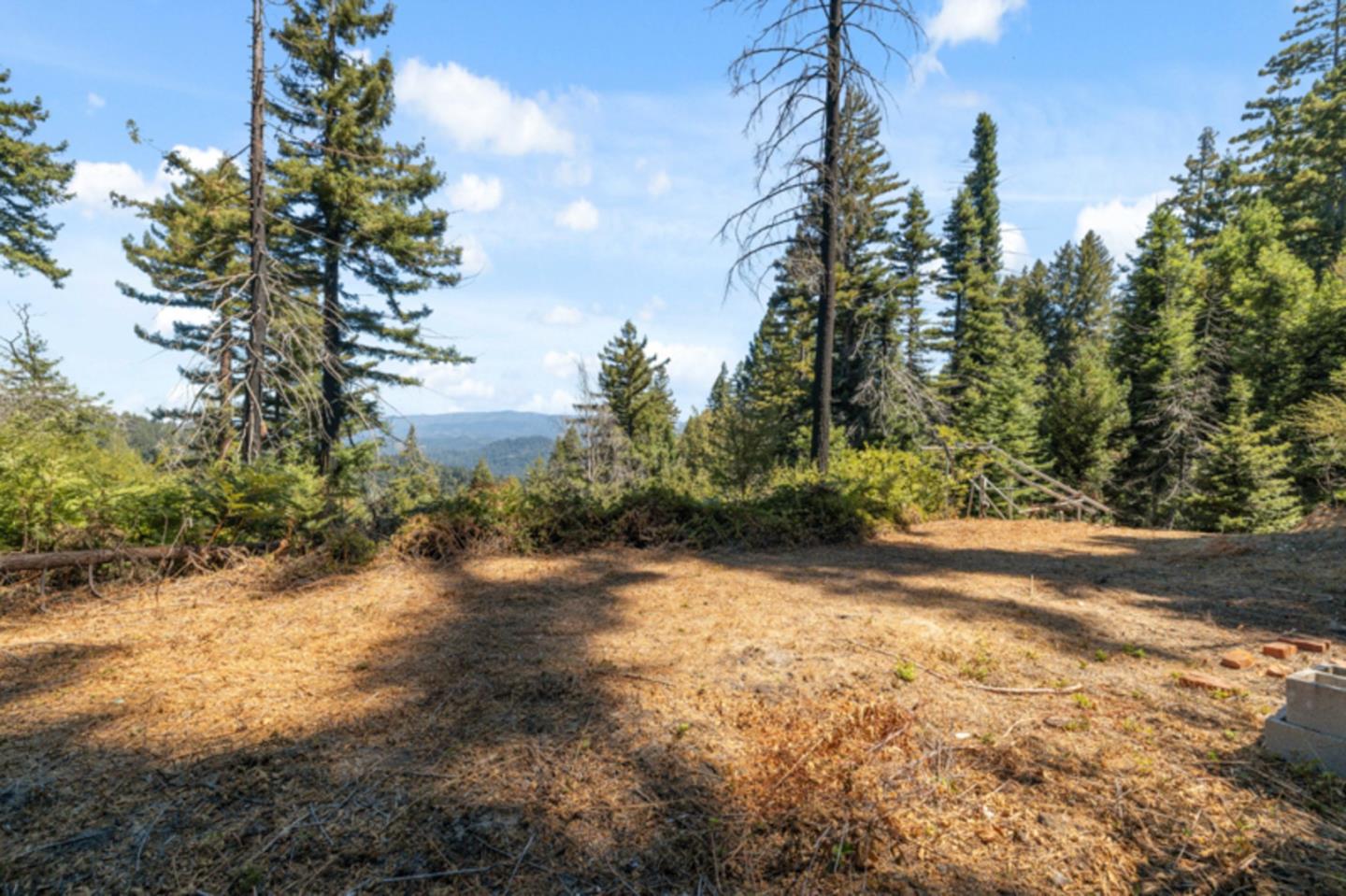 2472 Fanning Grde Ben Lomond, CA 95005 - Photo 2 of 13 a view of a yard with plants and trees