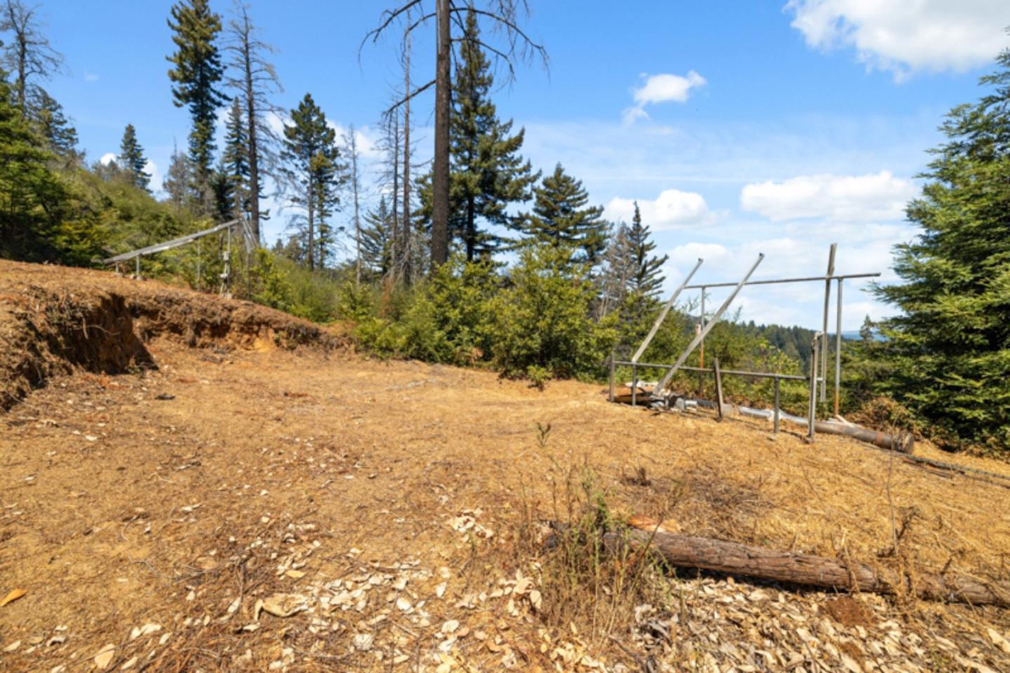 2472 Fanning Grde Ben Lomond, CA 95005 - Photo 10 of 13 a view of a yard with a tree
