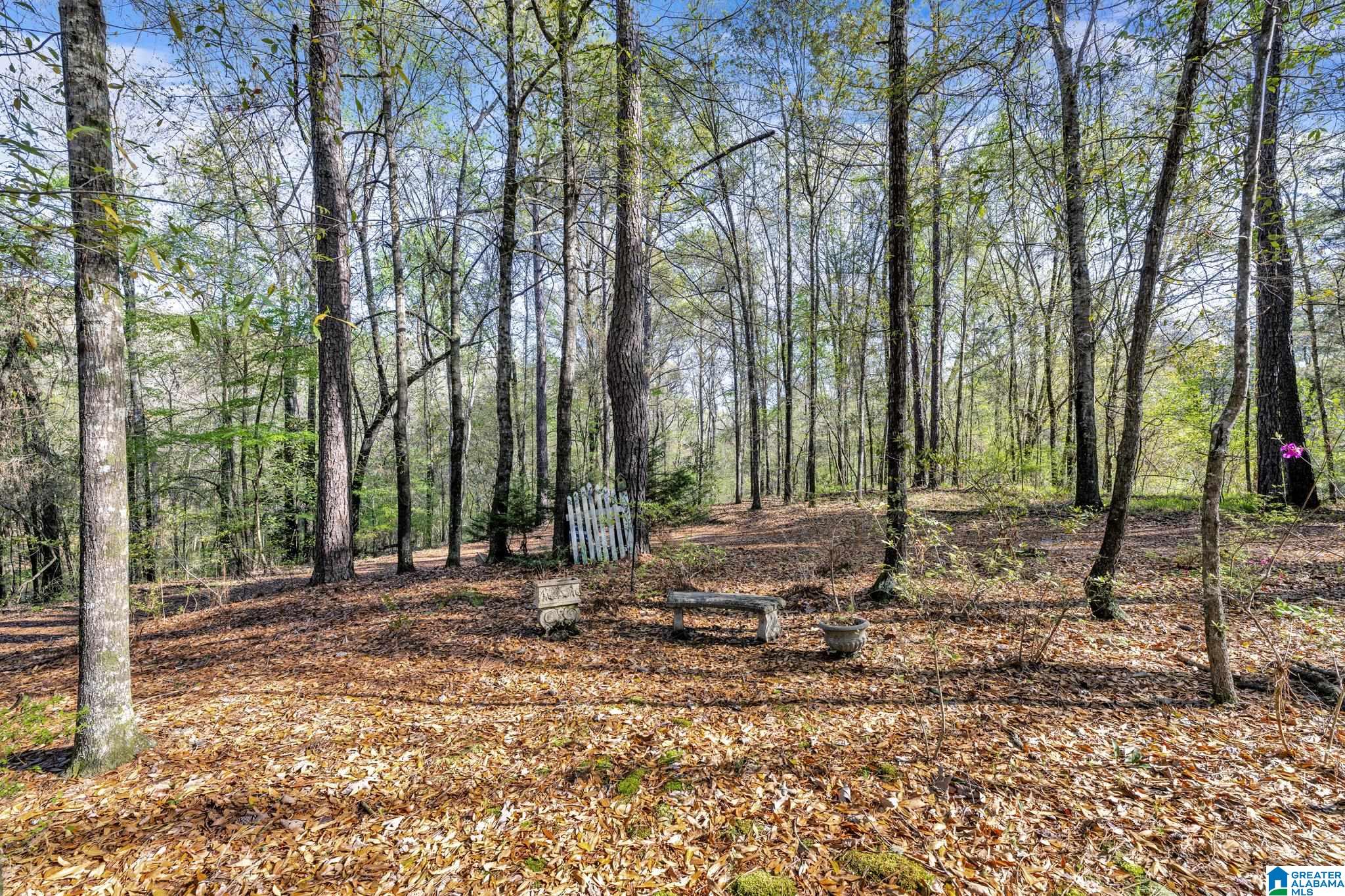 358 Cornelia Road Brierfield, AL 35035 - Photo 58 of 62