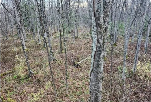 $17,900 | Cody Road, Morrisville, NY 13408