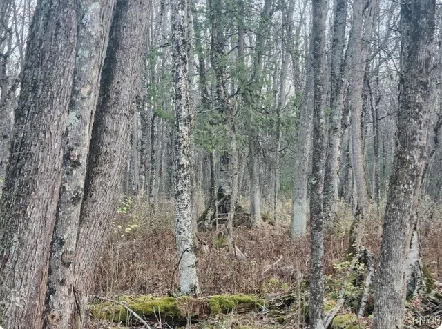 $17,900 | Cody Road, Morrisville, NY 13408