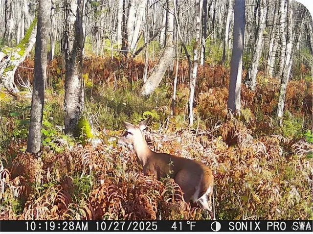 $17,900 | Cody Road, Morrisville, NY 13408