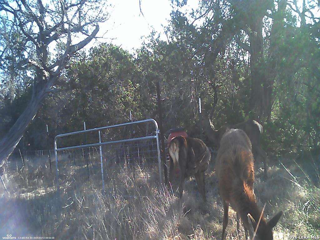 204 Wilson Rand Road Hunt, TX 78024 - Photo 27 of 46