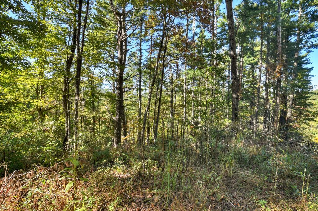 123 Bell Cp Rdg Road Blue Ridge, GA 30513 - Photo 15 of 18 Gallery Image 15