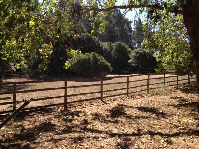 225 Johnson Road Watsonville, CA 95076 - Photo 11 of 37 Gallery Image 11