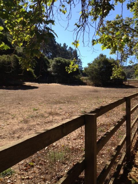 225 Johnson Road Watsonville, CA 95076 - Photo 13 of 37 Gallery Image 13