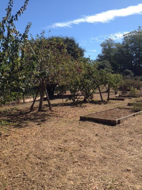225 Johnson Road Watsonville, CA 95076 - Photo 2 of 37 Gallery Image 2